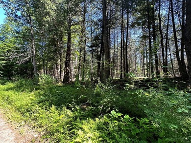 This beautiful 15.9 acre wooded lot is split between the - photo 9