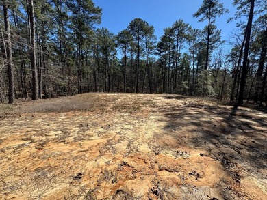 Lake Sam Rayburn  Lot For Sale in Brookeland Texas