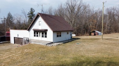 (private lake, pond, creek) Home For Sale in Edmore Michigan