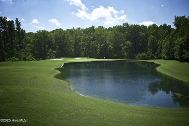 Only 27 lots remain in Section 3! This .45 acre LAKE FRONT - photo 22