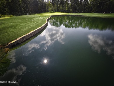 Only 27 lots remain in Section 3! This .45 acre LAKE FRONT - photo 26