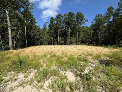 Lake Sam Rayburn  Lot For Sale in Brookeland Texas