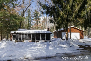 Lake Home For Sale in Irons, Michigan