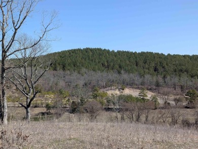 Lake Acreage For Sale in Mena, Arkansas