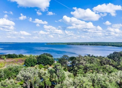 Lake Home For Sale in Salt Springs, Florida