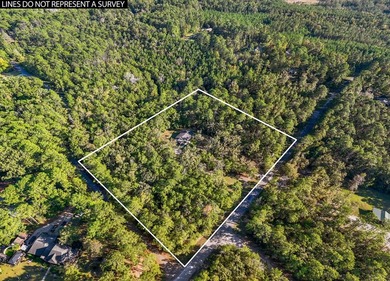 Welcome to 311 Rayburn Blvd, a rare gem tucked into the heart of - photo 5