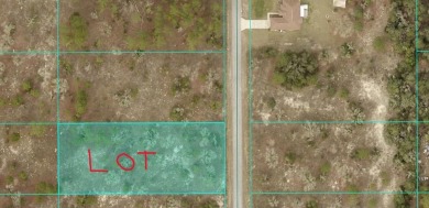 Lake Lot For Sale in Dunnellon, Florida