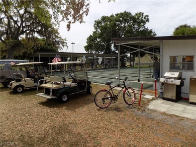 VACANT LOT in HOLIDAY PARK!! Unit has been removed. Electricity - photo 4