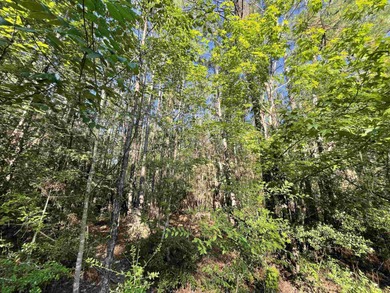 Lake Sam Rayburn  Lot For Sale in Brookeland Texas