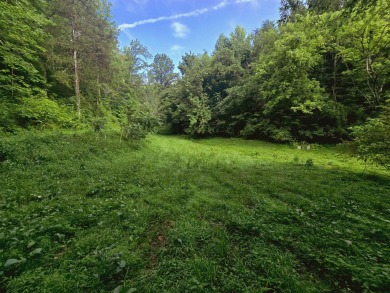 Douglas Lake Acreage For Sale in Newport Tennessee