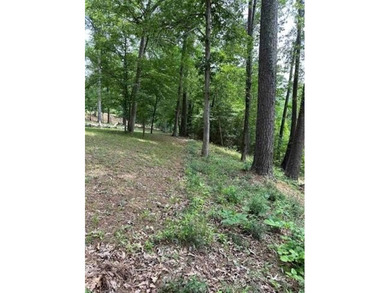 Lake Lot For Sale in Hemphill, Texas