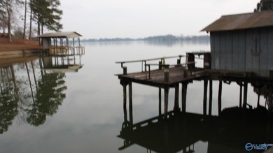 Weiss Lake Home For Sale in Leesburg Alabama