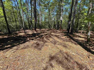 Lake Sam Rayburn  Lot For Sale in Brookeland Texas