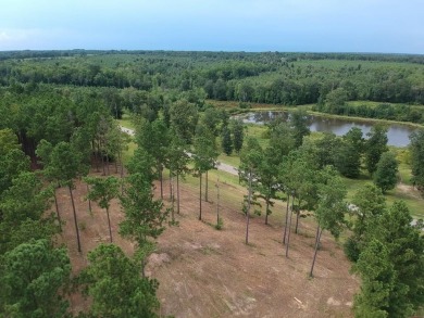 Lake Lot For Sale in Americus, Georgia
