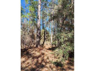 Lake Lot For Sale in Brookeland, Texas