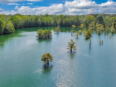 (private lake, pond, coastal) Home For Sale in Dayton Texas