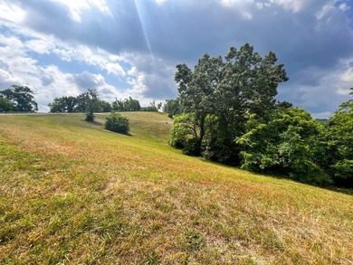 Beautiful build lot with AMAZING LAKE AND MOUNTAIN VIEWS and a - photo 3