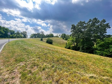 Beautiful build lot with AMAZING LAKE AND MOUNTAIN VIEWS and a - photo 4