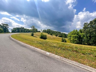 Beautiful build lot with AMAZING LAKE AND MOUNTAIN VIEWS and a - photo 7