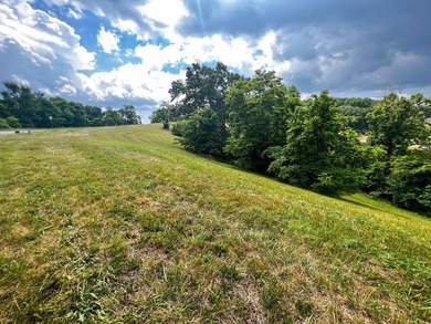 Beautiful build lot with AMAZING LAKE AND MOUNTAIN VIEWS and a - photo 3