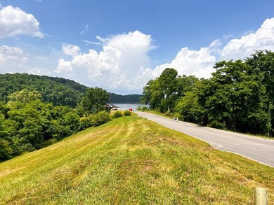 Beautiful build lot with AMAZING LAKE AND MOUNTAIN VIEWS and a - photo 4