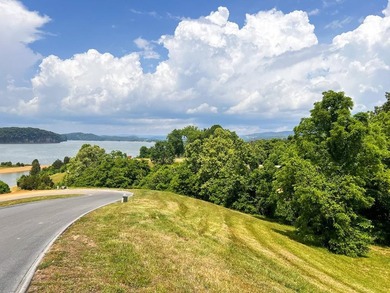 Beautiful build lot with AMAZING LAKE AND MOUNTAIN VIEWS and a - photo 2