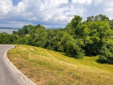 Beautiful build lot with AMAZING LAKE AND MOUNTAIN VIEWS and a - photo 5