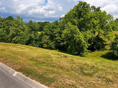 Beautiful build lot with AMAZING LAKE AND MOUNTAIN VIEWS and a - photo 6