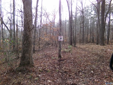 Weiss Lake Lot For Sale in Cedar Bluff Alabama