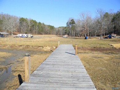Deeded Waterfront RV Lot with Power, Water & Stunning Mountain - photo 4