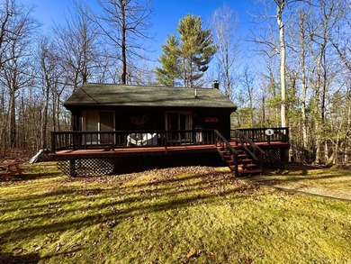 Price Improvement-Camp Creaky Birch - Unique Turnkey Adirondack - photo 1