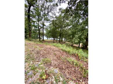 (private lake, pond, creek) Lot For Sale in Red Bay Alabama
