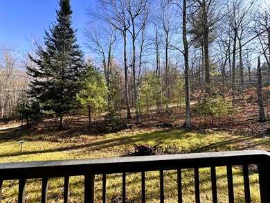 Price Improvement-Camp Creaky Birch - Unique Turnkey Adirondack - photo 3