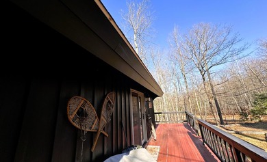 Price Improvement-Camp Creaky Birch - Unique Turnkey Adirondack - photo 4