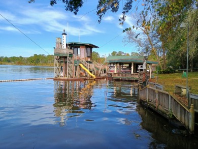 Multi Family Ski Lake Homes, Unique Waterfront Playground SOLD - photo 5