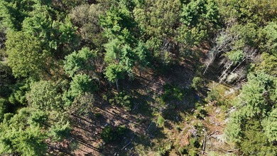 Basha Kill Marsh Lake Lot For Sale in Wurtsboro New York