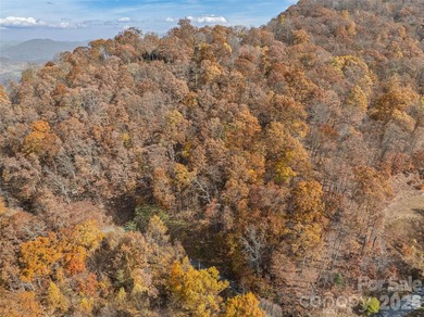 Discover a rare opportunity to build your dream mountain estate - photo 11