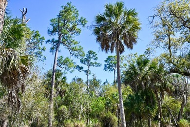 Charlotte Harbor Gateway off Bayshore presents a rare - photo 11