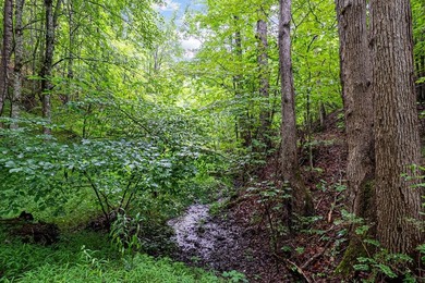 Access the peace and quite, just outside of Marion, VA. 39+ - photo 11