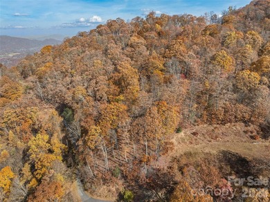 Discover a rare opportunity to build your dream mountain estate - photo 12