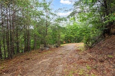 Access the peace and quite, just outside of Marion, VA. 39+ - photo 12