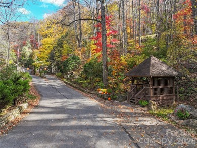 Discover a rare opportunity to build your dream mountain estate - photo 13