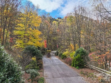 Discover a rare opportunity to build your dream mountain estate - photo 14