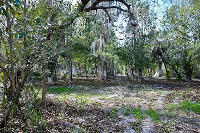 Charlotte Harbor Gateway off Bayshore presents a rare - photo 15