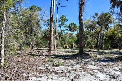 Charlotte Harbor Gateway off Bayshore presents a rare - photo 16