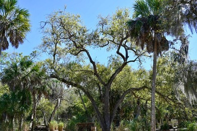 Charlotte Harbor Gateway off Bayshore presents a rare - photo 17