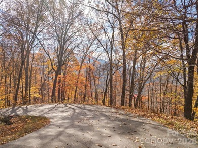 Discover a rare opportunity to build your dream mountain estate - photo 20