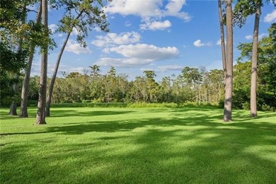 Tucked away with 18.4 acres on the navigable deep water - photo 25