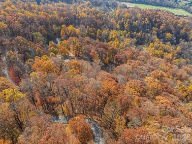 Discover a rare opportunity to build your dream mountain estate - photo 28