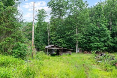Access the peace and quite, just outside of Marion, VA. 39+ - photo 29